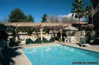Flamingo Tucson